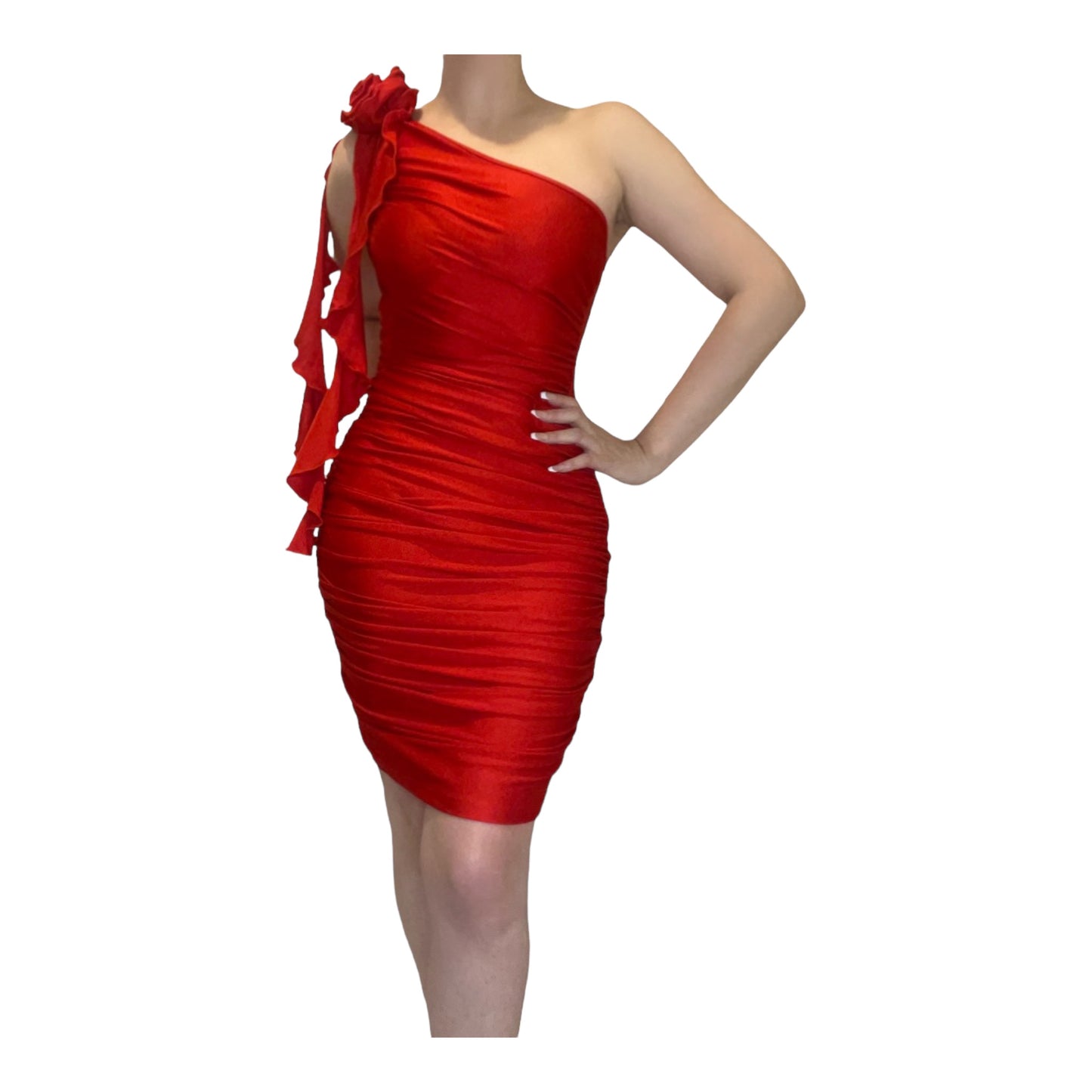 Ruffle 3d rose dress